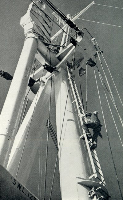 F-boat mast