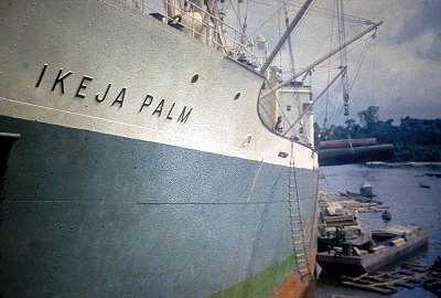 Ikeja Palm