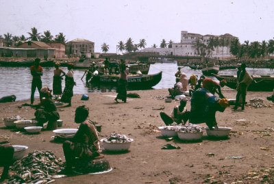 Elmina