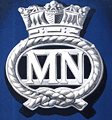 Silver Badge